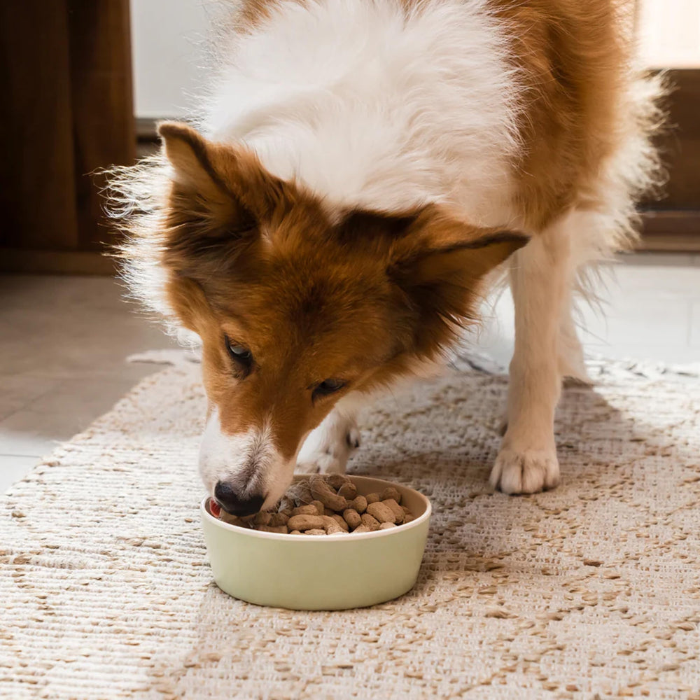 Open Farm Puppy Morsels: huesos suaves para masticación segura.