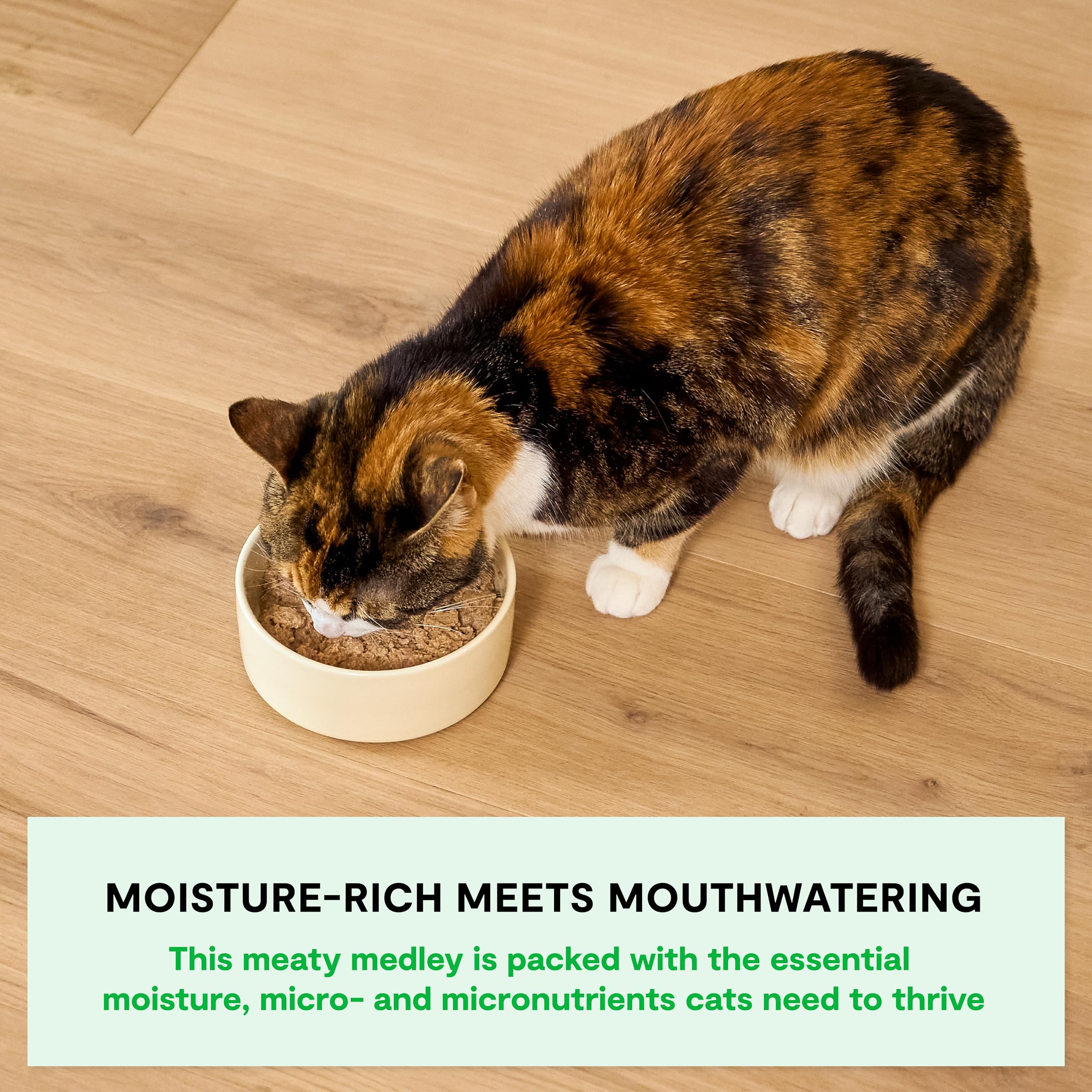 Open Farm Rustic Blend: nutricion completa para gatos, perfecta para comida mixta o sola.