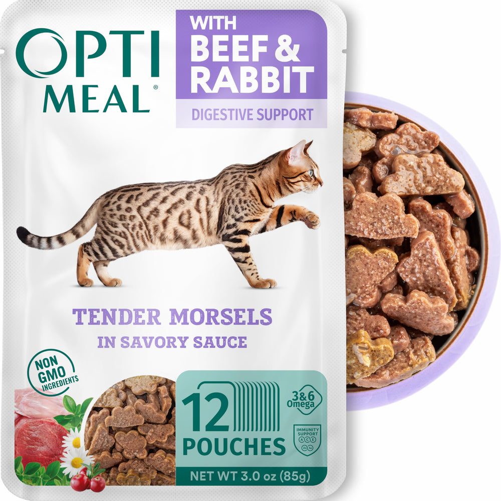 Optimeal gato en cuenco con salsa sabrosa para degustación diaria