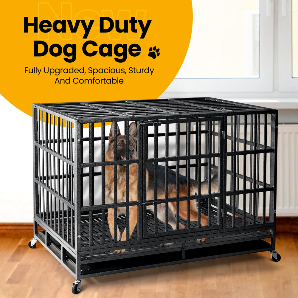 Oranland uso diario seguro, ideal para perros grandes en el hogar.
