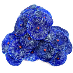 OrgMemory corales artificiales azules, decorativos, aptos para acuario y decoración interior.