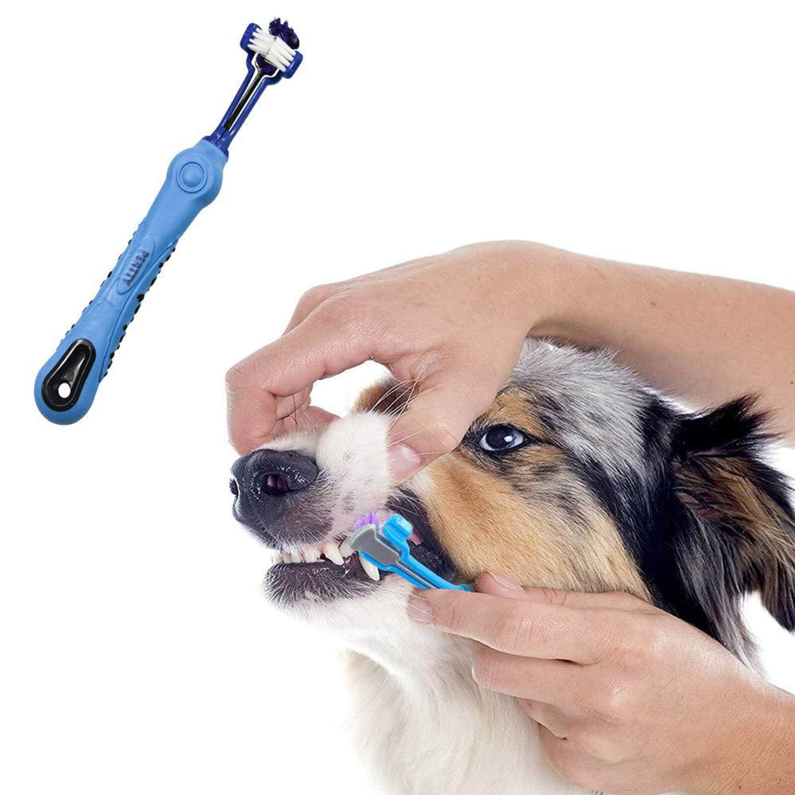 Orgrimmar cepillo dental higiene oral para mascotas, uso cotidiano
