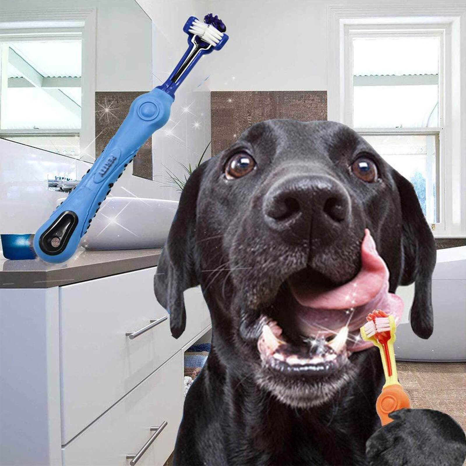 Orgrimmar cepillo dental tres brazos, cepillado cómodo para perros y gatos