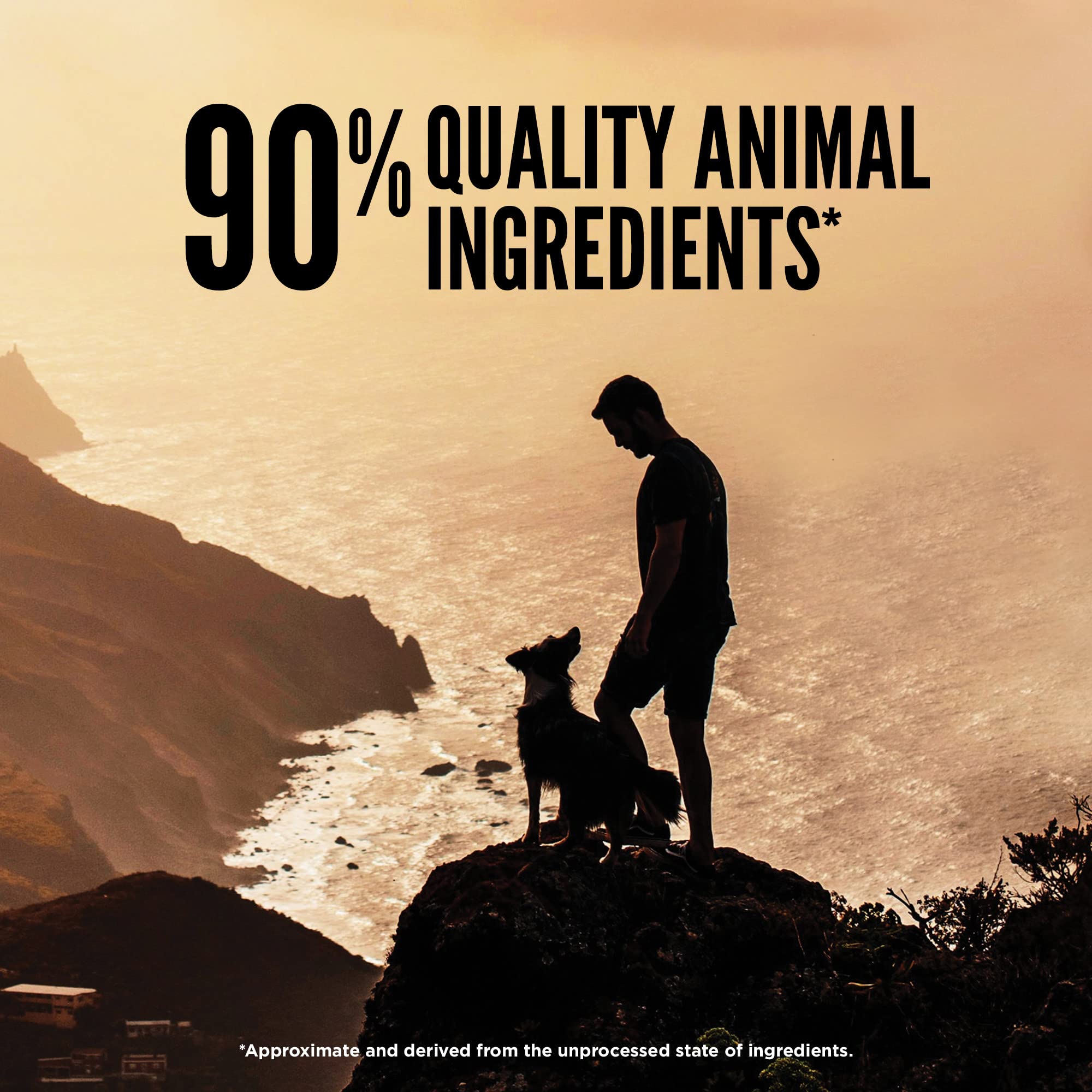 Proteína alta de ORIJEN Regional Red en formato liofilizado para perros