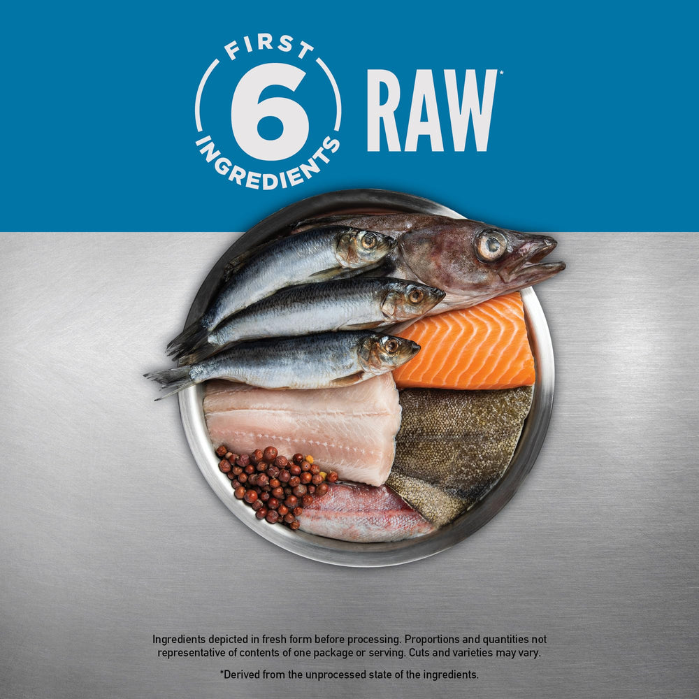 ORIJEN Seis Pescados, seis ingredientes crudos iniciales.