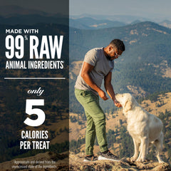 Golosinas con alto contenido proteico para perros activos
