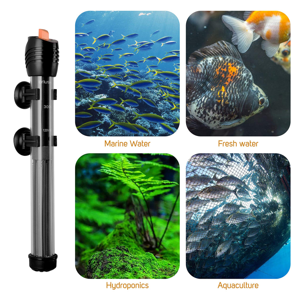 Orlushy calentador de acuario 300W con termómetro gratuito incluido