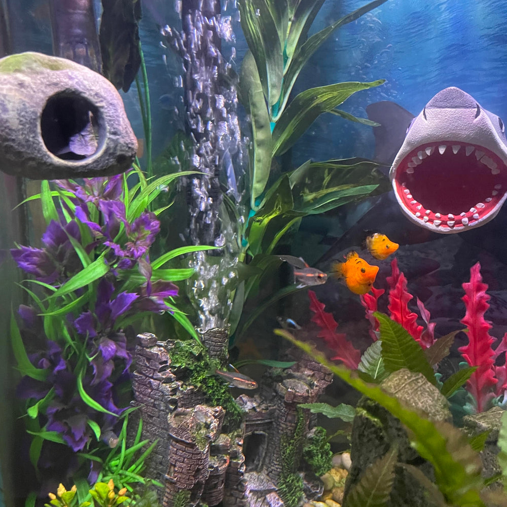 OrnaMounts diseño-magnetico: ajuste rápido para reconfigurar el acuario.