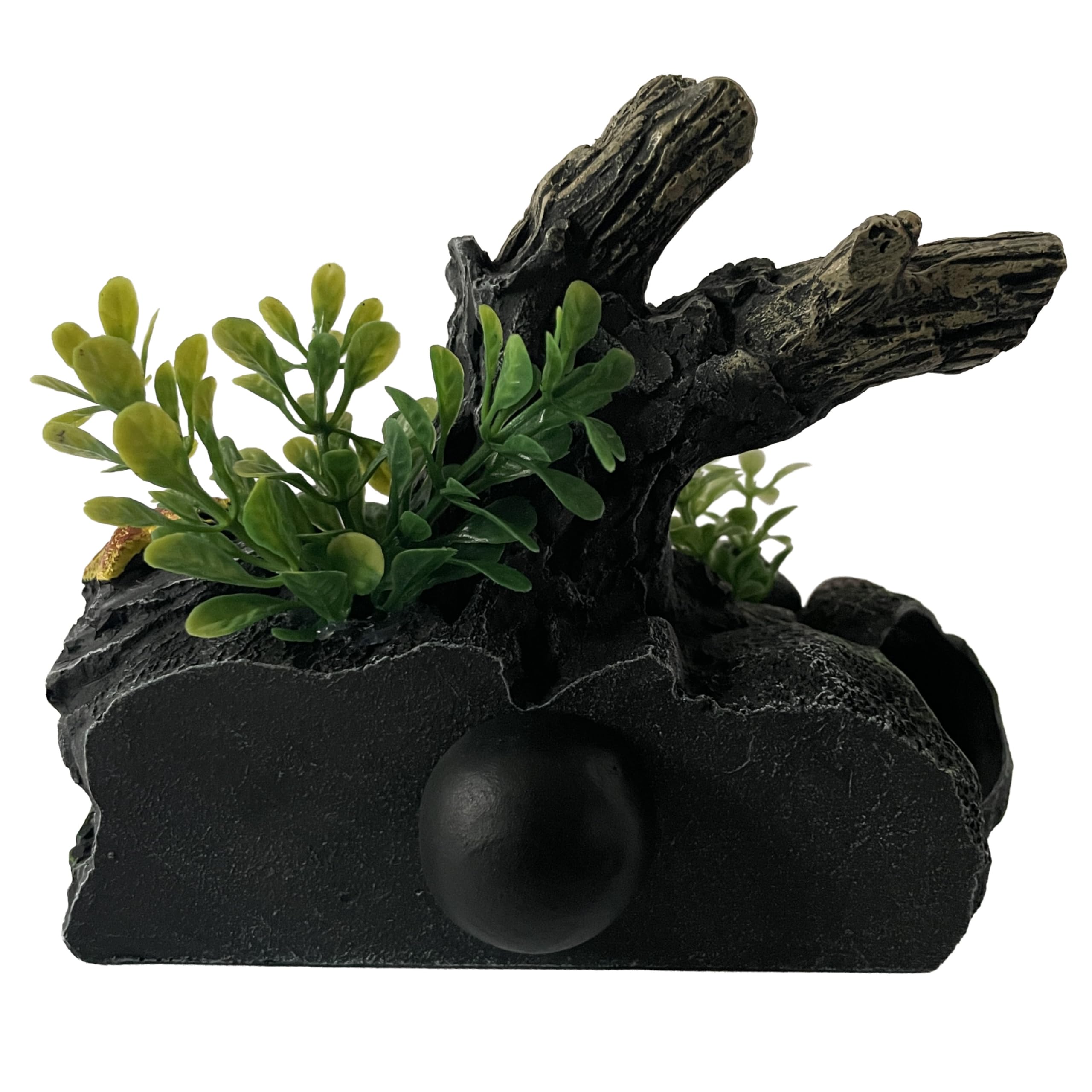 OrnaMounts ambiente acuario con plantas acuáticas vivas para composición equilibrada