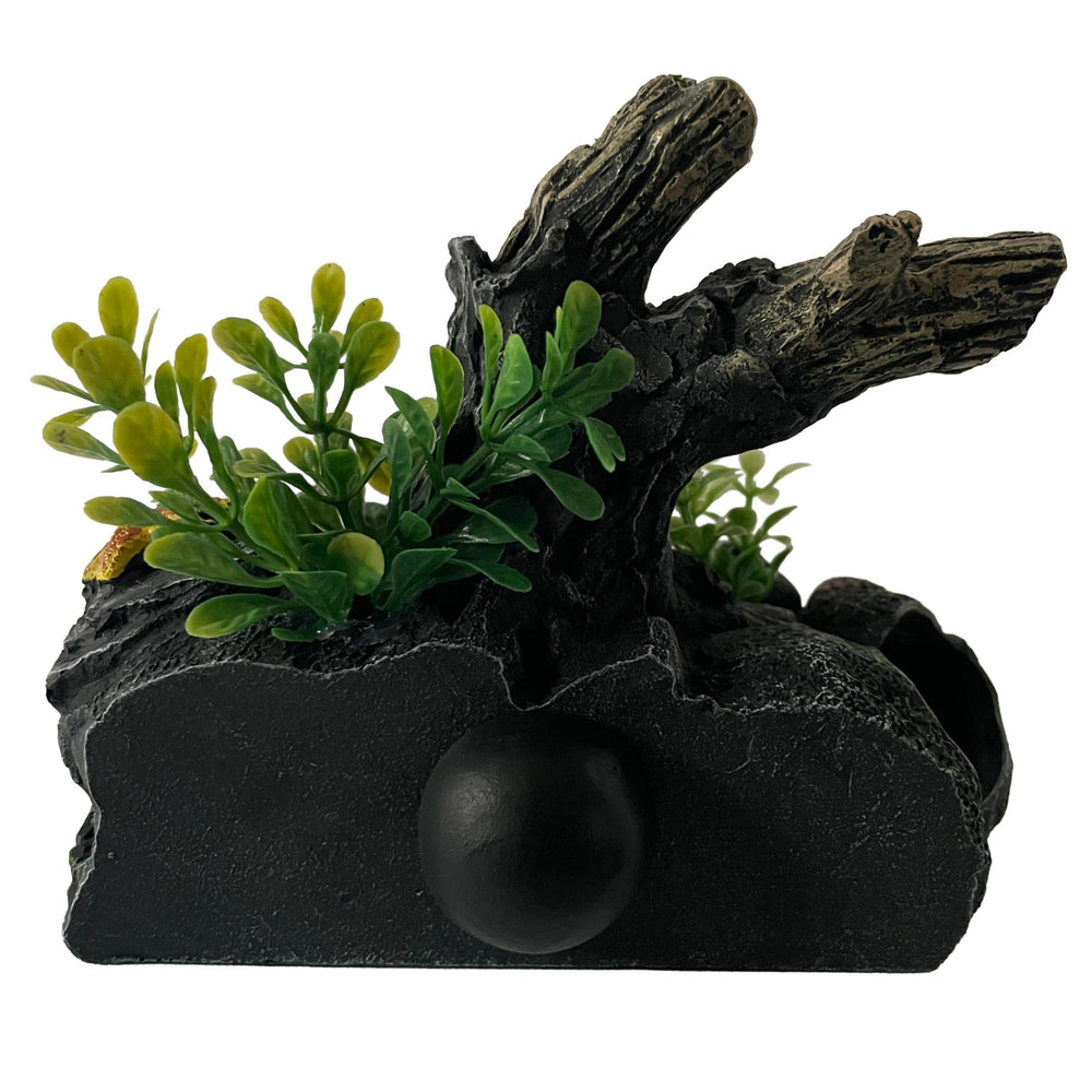 OrnaMounts ambiente acuario con plantas acuáticas vivas para composición equilibrada