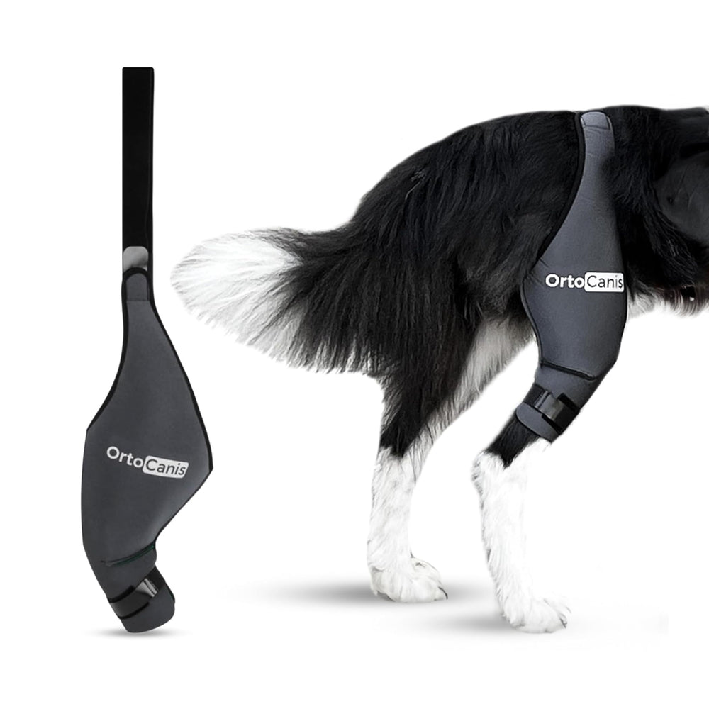 Ortocanis rodillera para perro izquierda trasera mejora soporte y movilidad.
