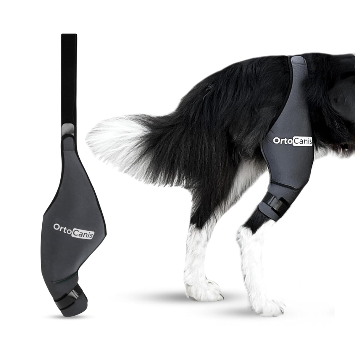 Ortocanis rodillera para perro izquierda trasera mejora soporte y movilidad.