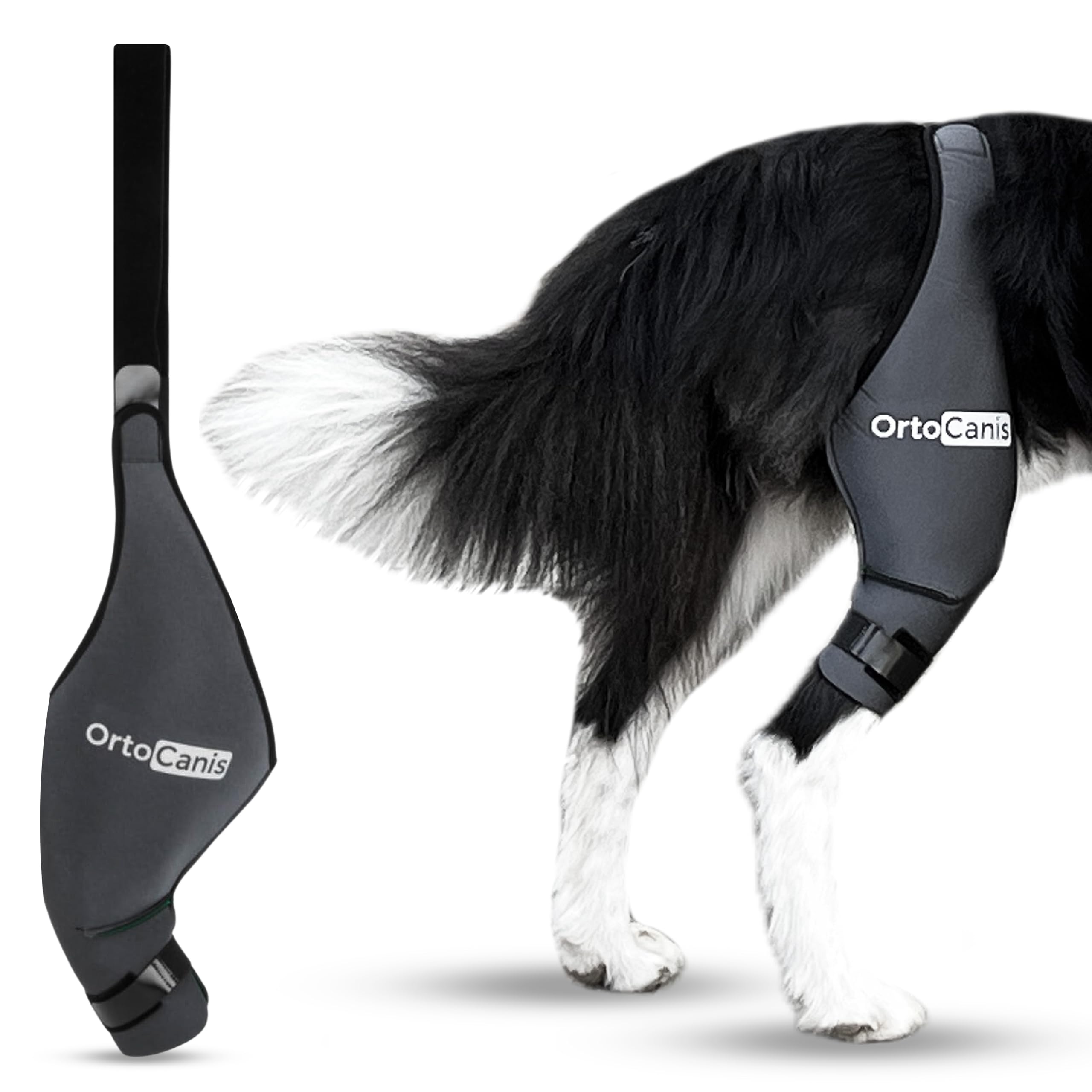 Ortocanis rodillera para perro izquierda, soporte estable para movilidad diaria.