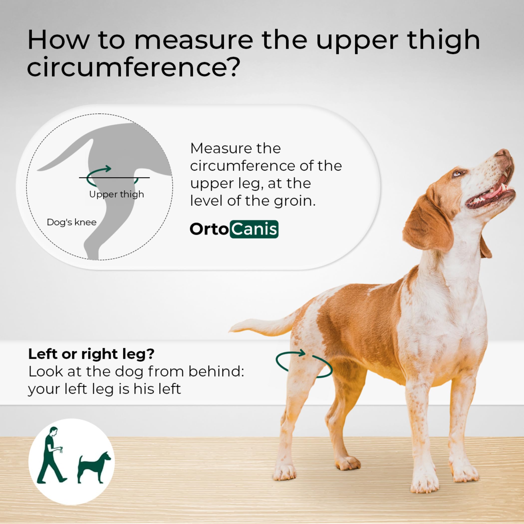 Ortocanis rodillera perro neopreno alta flexibilidad permite movilidad cómoda.
