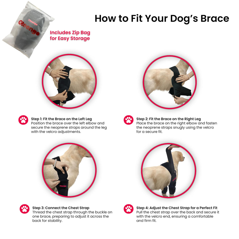 Manga delantera Oteengo para perros: protección duradera de codo y soporte