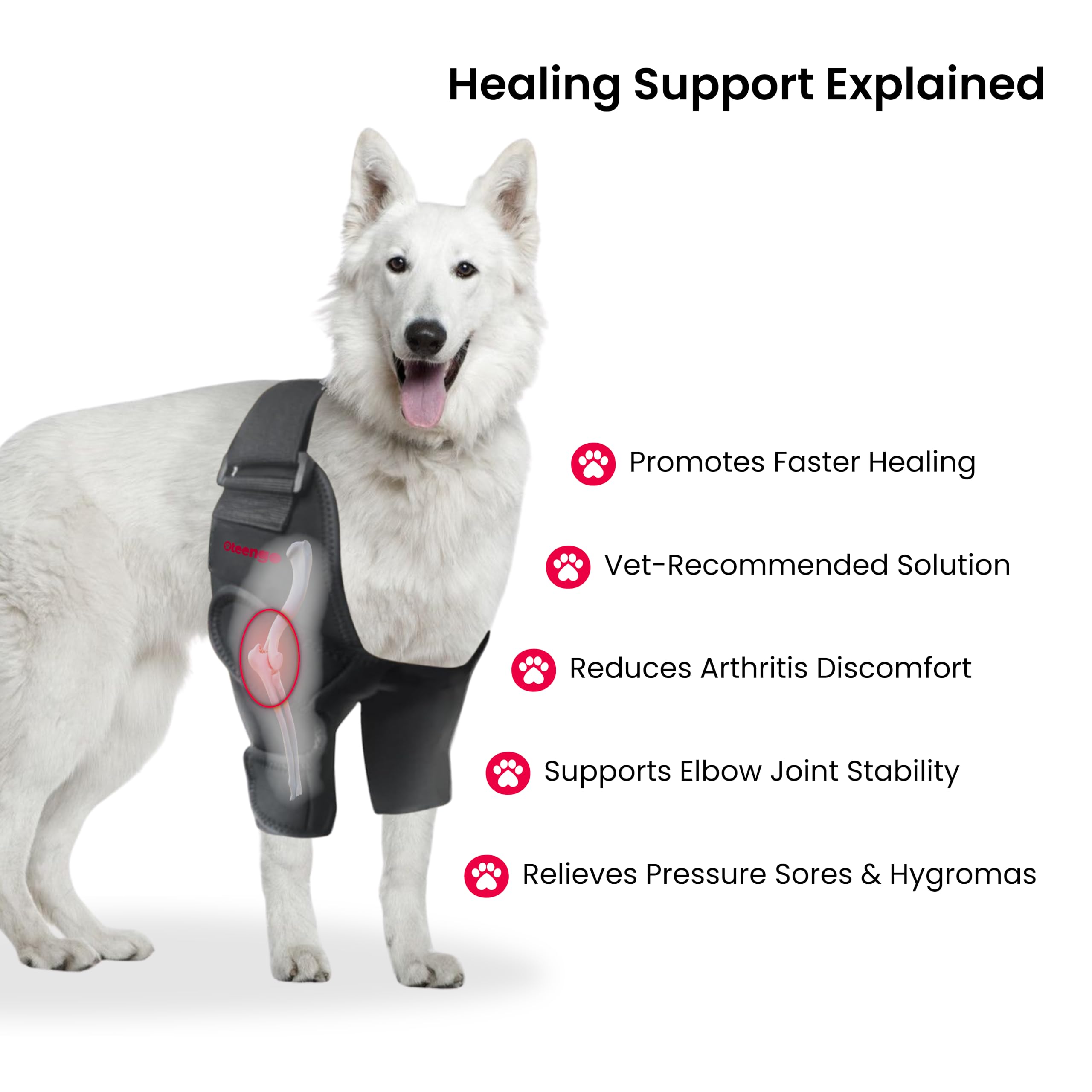 Protector de codo Oteengo para perros: soporte para articulaciones y movilidad diaria