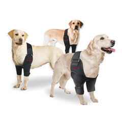 Protector de codo Oteengo para perros: ayuda a prevenir callos y rozaduras