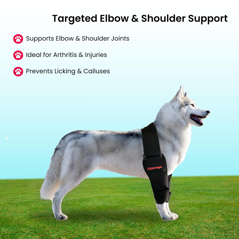 Protector de codo Oteengo para perros: ideal para manejo de callos y artritis leve