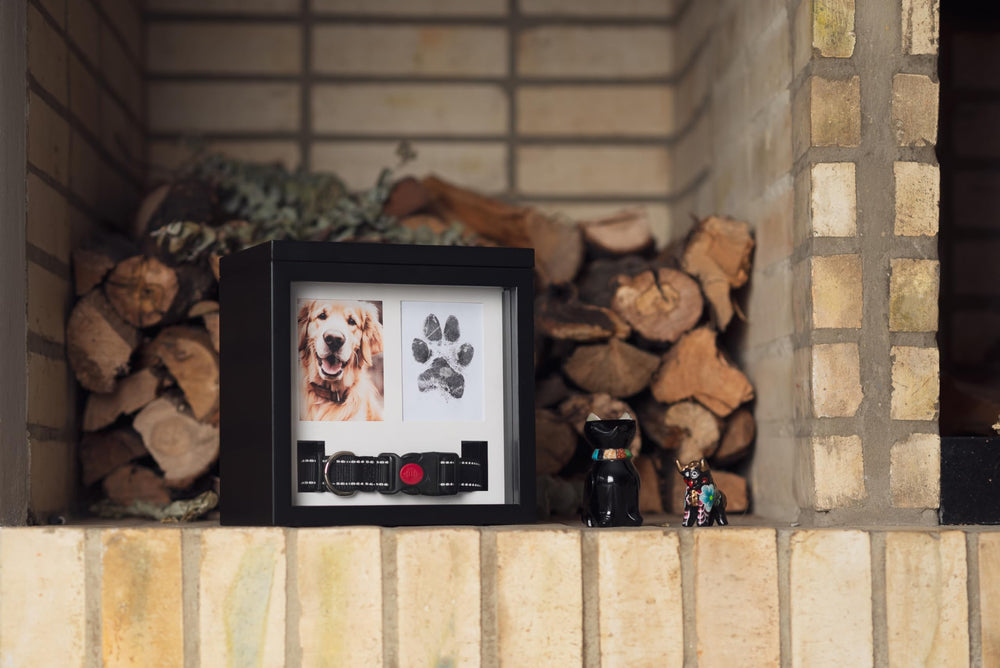 Detalle de recuerdos en la urna OtterPets para perros