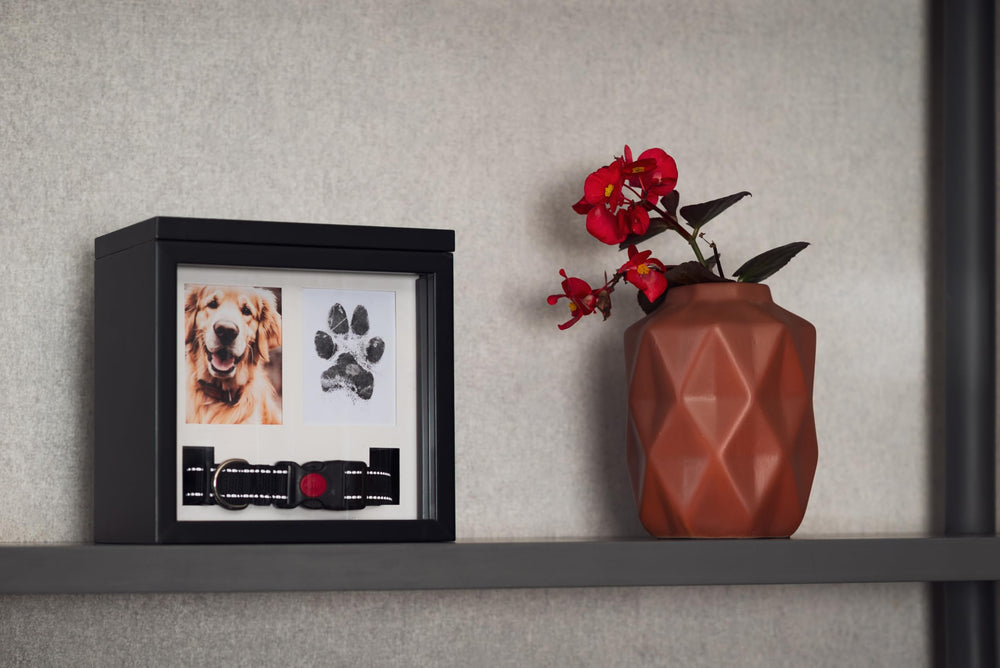 Dimensiones de la urna OtterPets 8.5x8.5x5.8 para perros