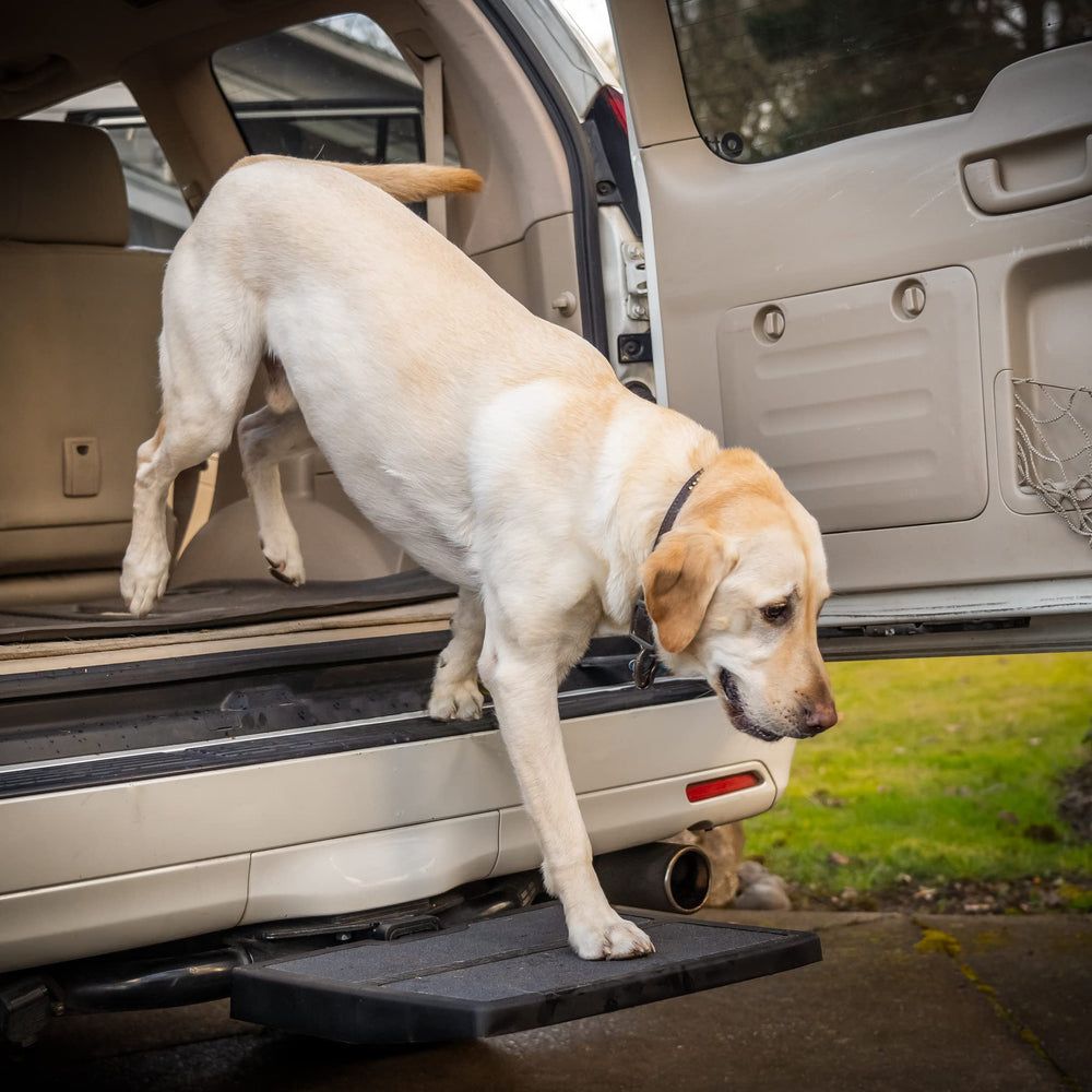 Otto Step rampa para perros en coche, facilita subir al vehículo