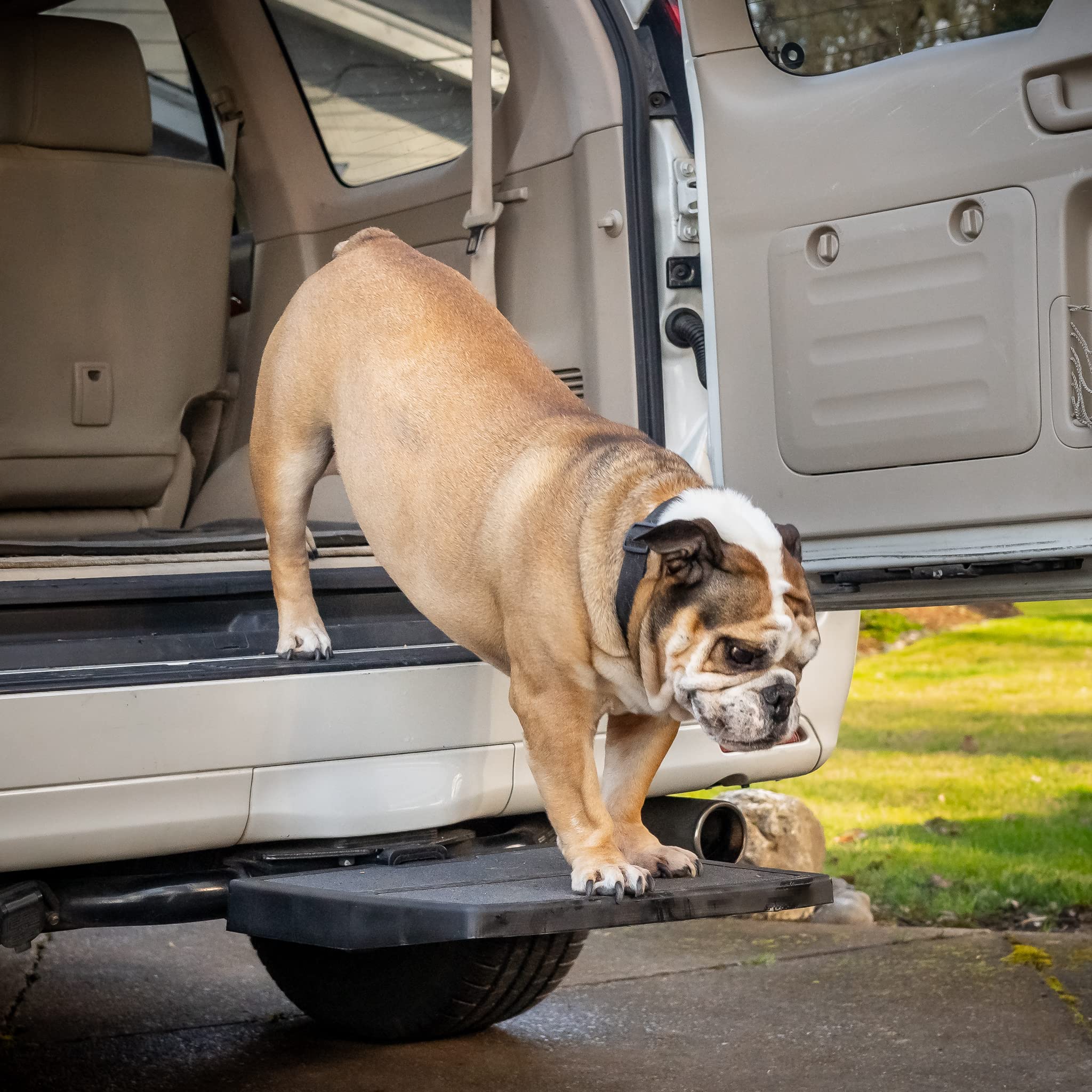 Otto Step sin herramientas, instalación rápida en cualquier vehículo para perros