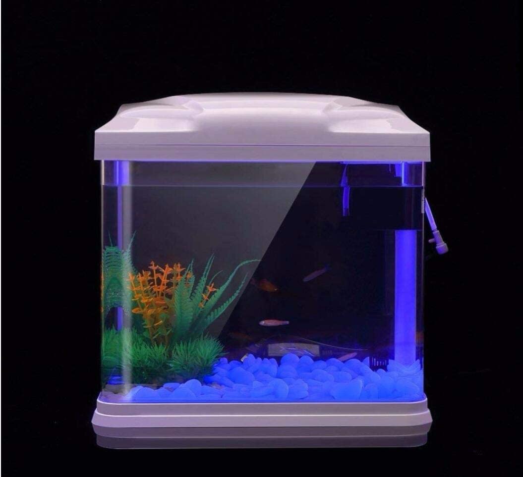 Piedras luminosas Oubest para interiores y jardines, brillo estable