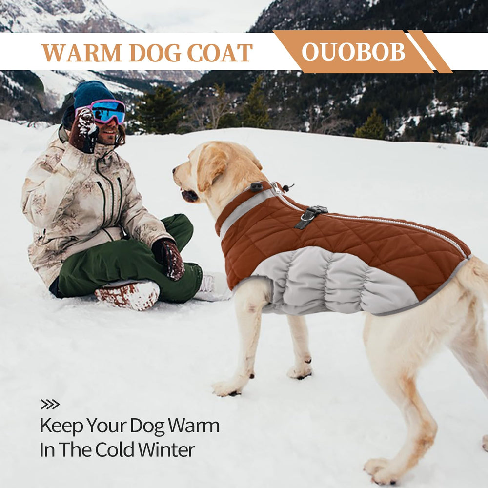 OUOBOB anilla para correa facilita paseos seguros.