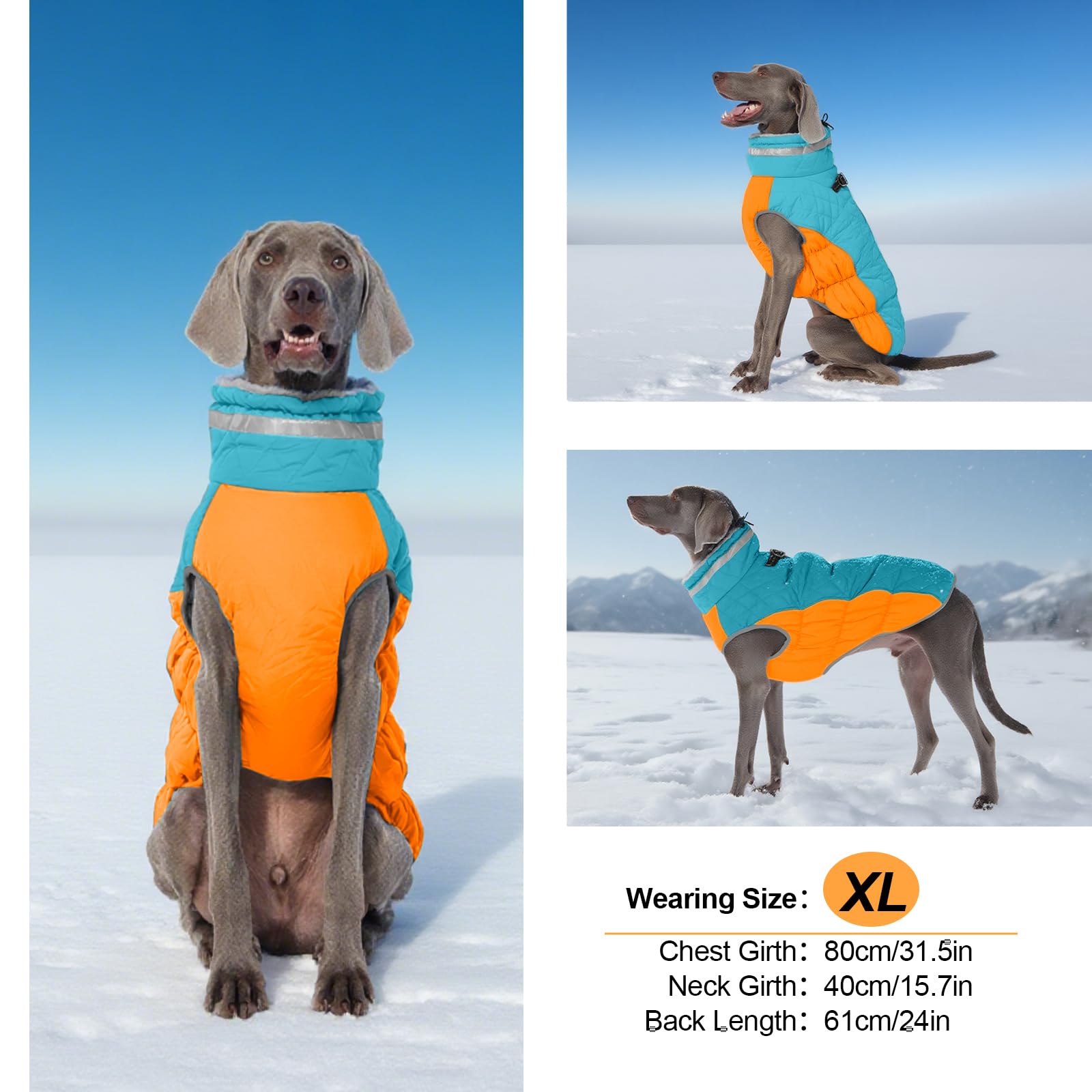 OUOBOB chaqueta con hombro reforzado, diseño resistente para perros grandes activos.