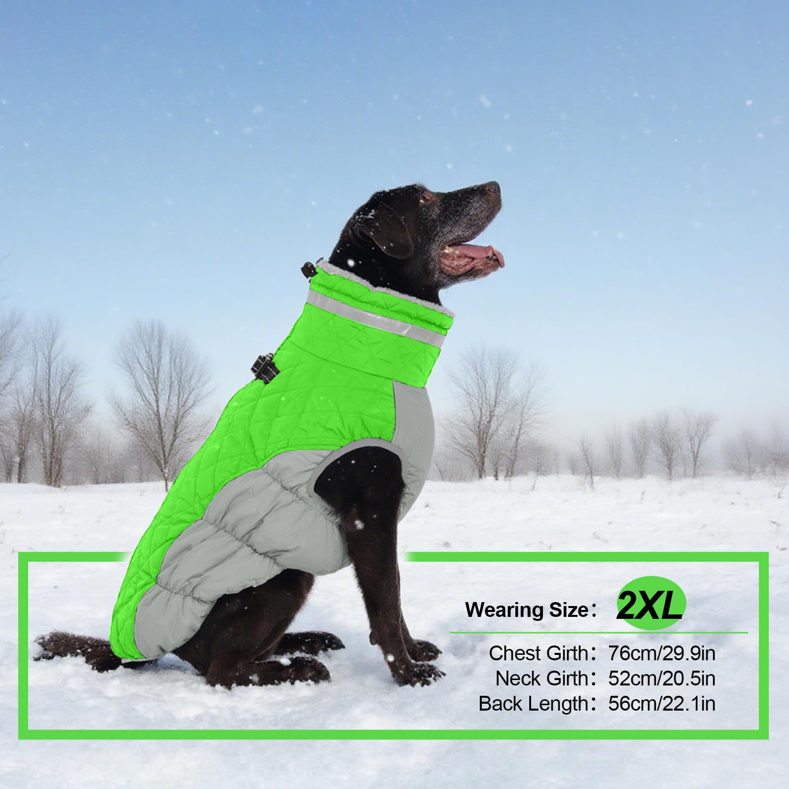 OUOBOB chaqueta impermeable para perro grande; protege contra lluvia y viento.