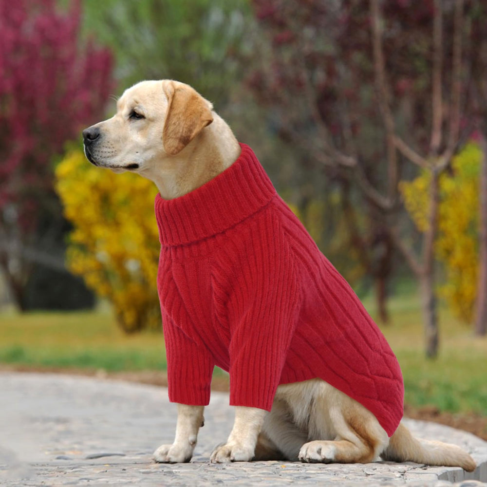 OUOBOB ocaciones-festivas-perro: adecuado para Noche de Brujas y Navidad.