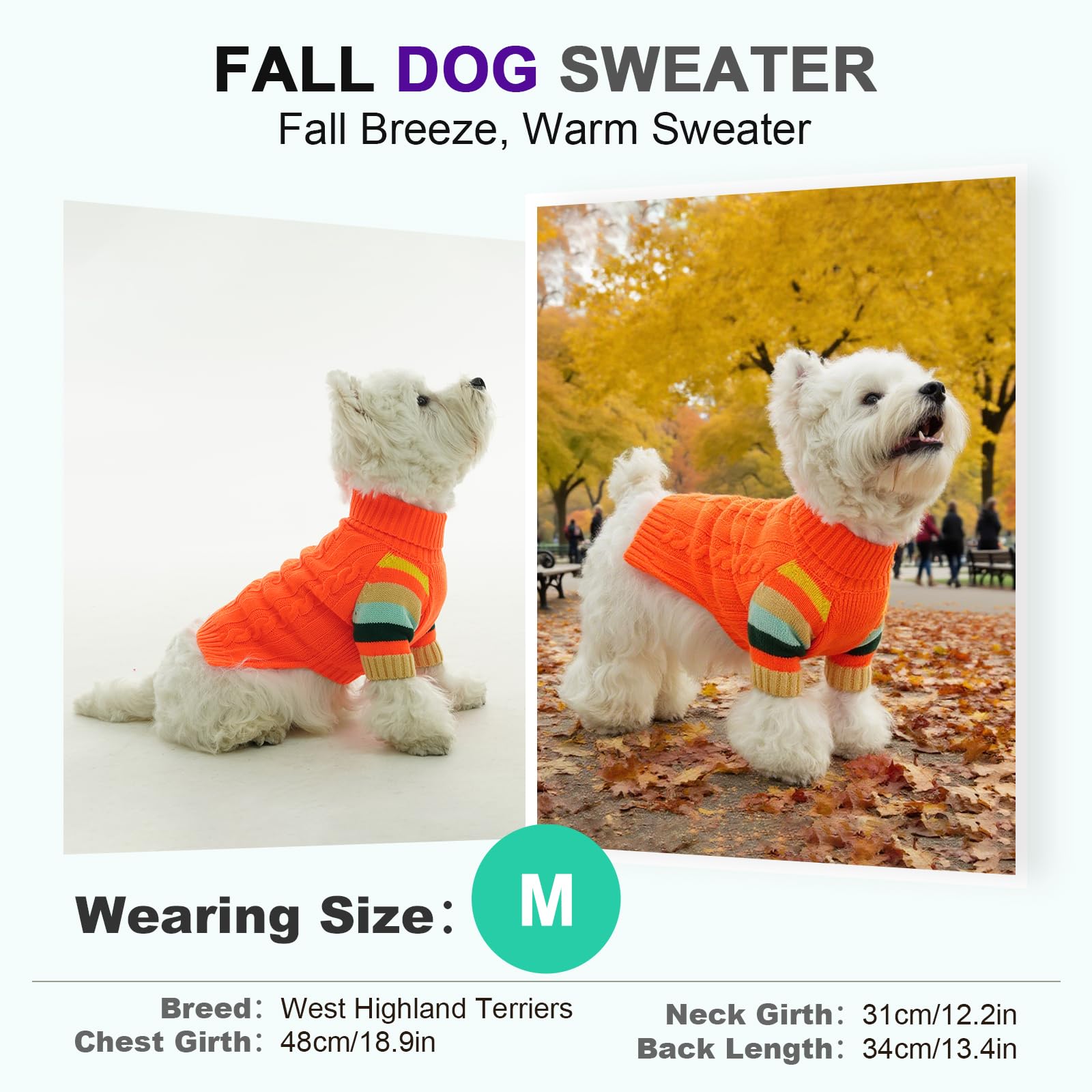 OUOBOB sudadera con colores arcoíris para estilo festivo y diversión