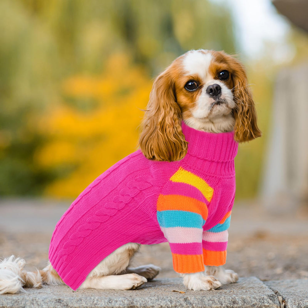 OUOBOB suéter-perro-navidad: perfecto para fiestas y fotos.