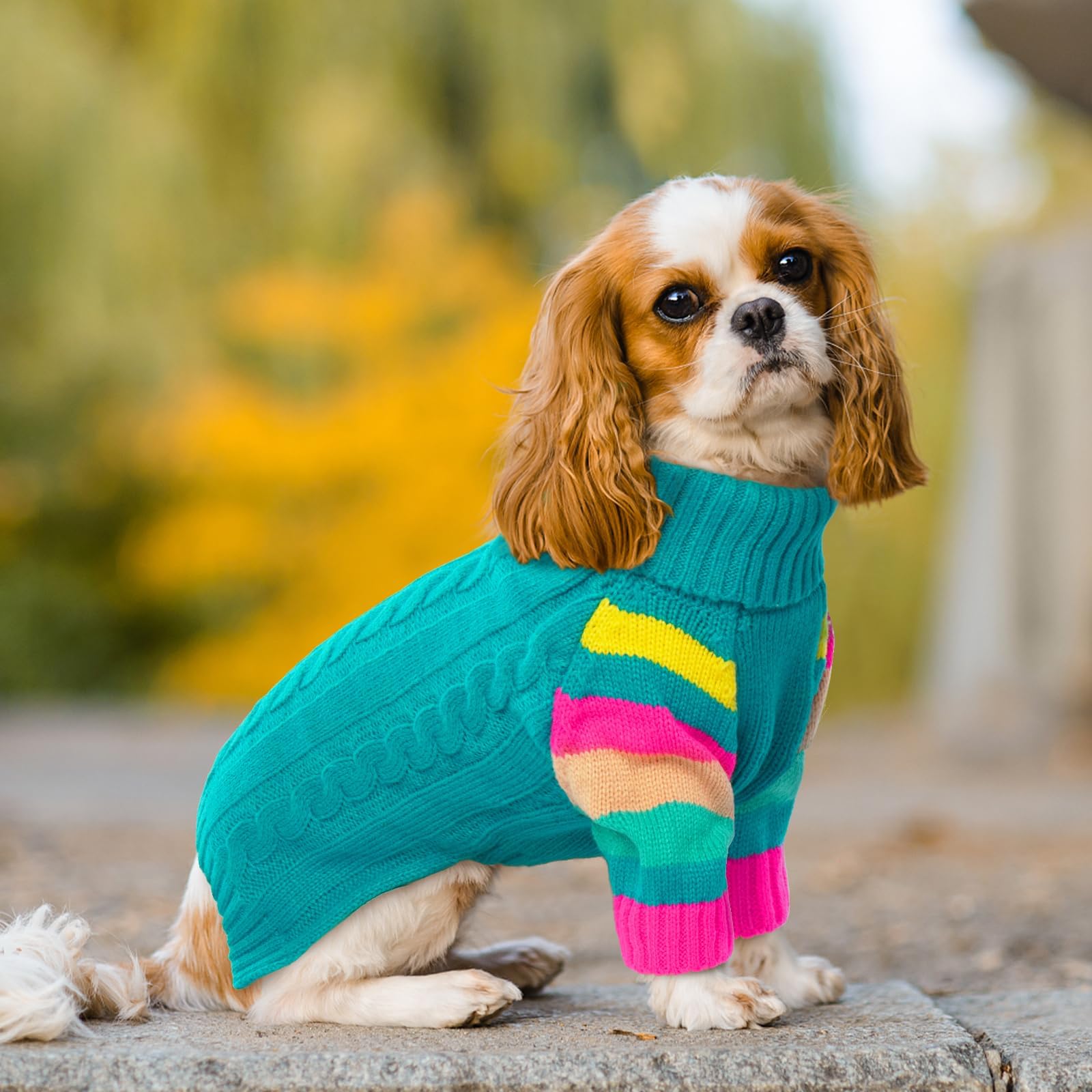 OUOBOB sudadera para perros talla mediana, seguro para paseos diarios