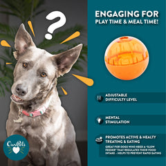 Our Pets IQ Treat Ball: disco interior ajustable para cambiar la dificultad del juego