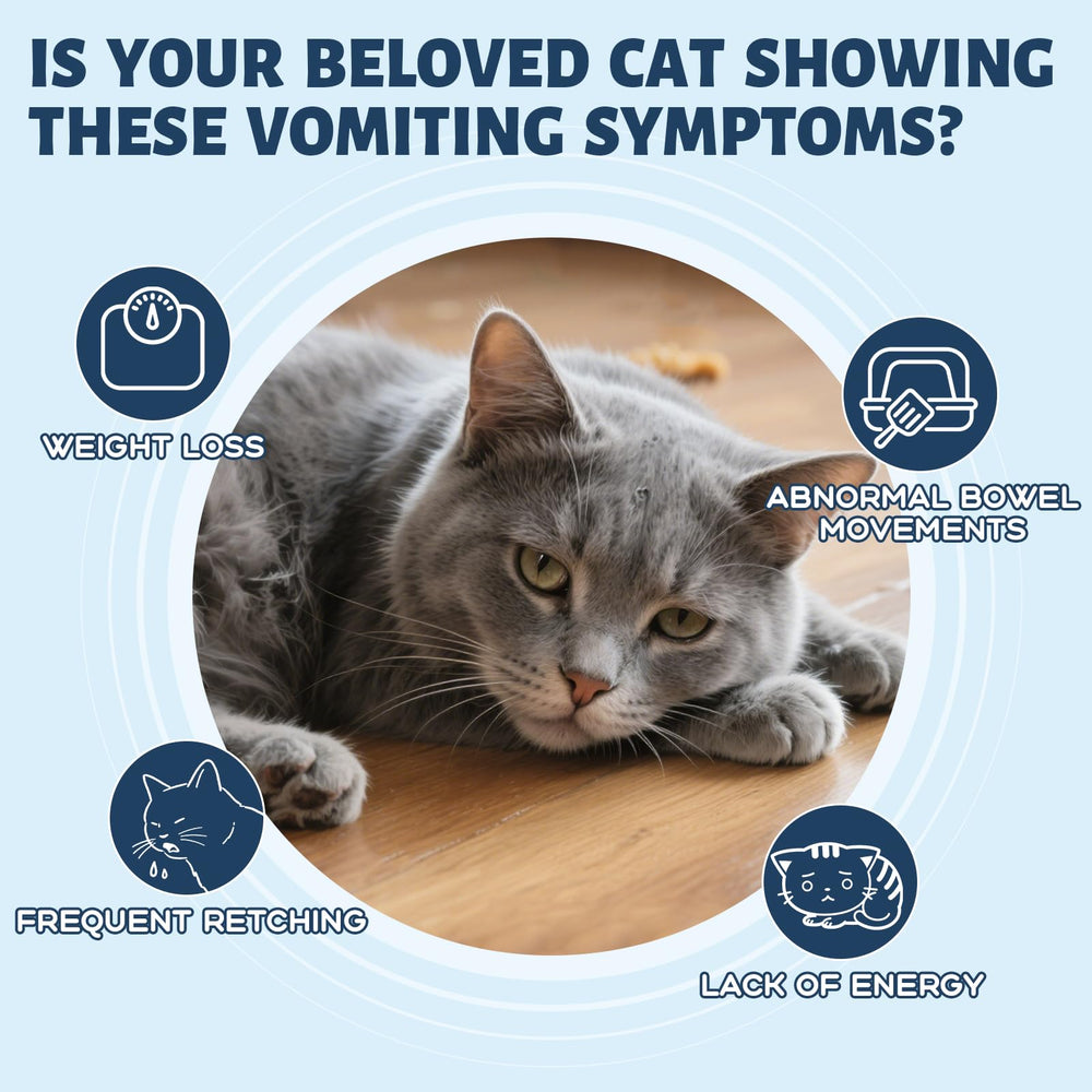 OUREA bote-probiotico-gatos, probióticos activos para la flora intestinal.