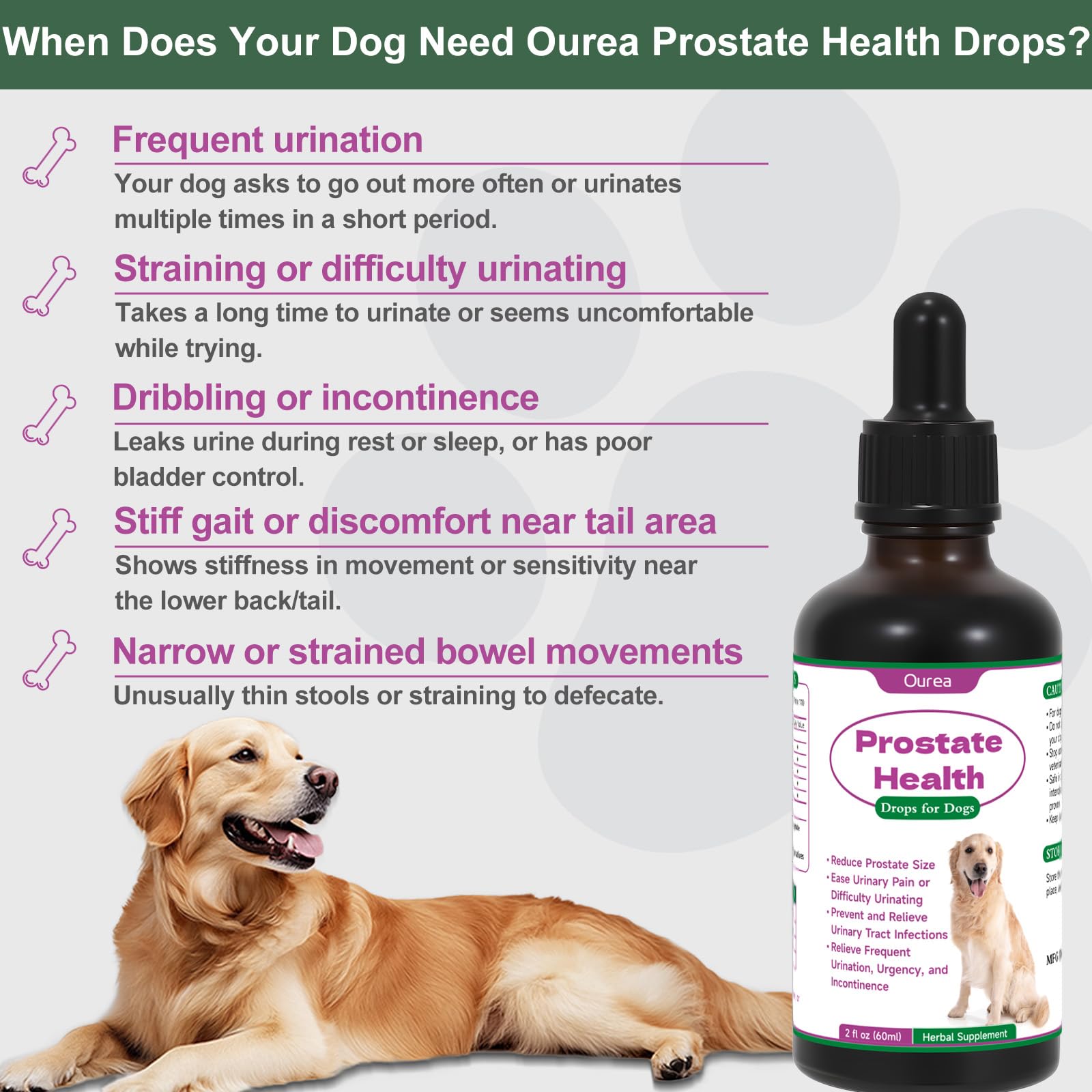 Gotas de salud prostática de Ourea para perros, uso diario, mejora gradual de comodidad.