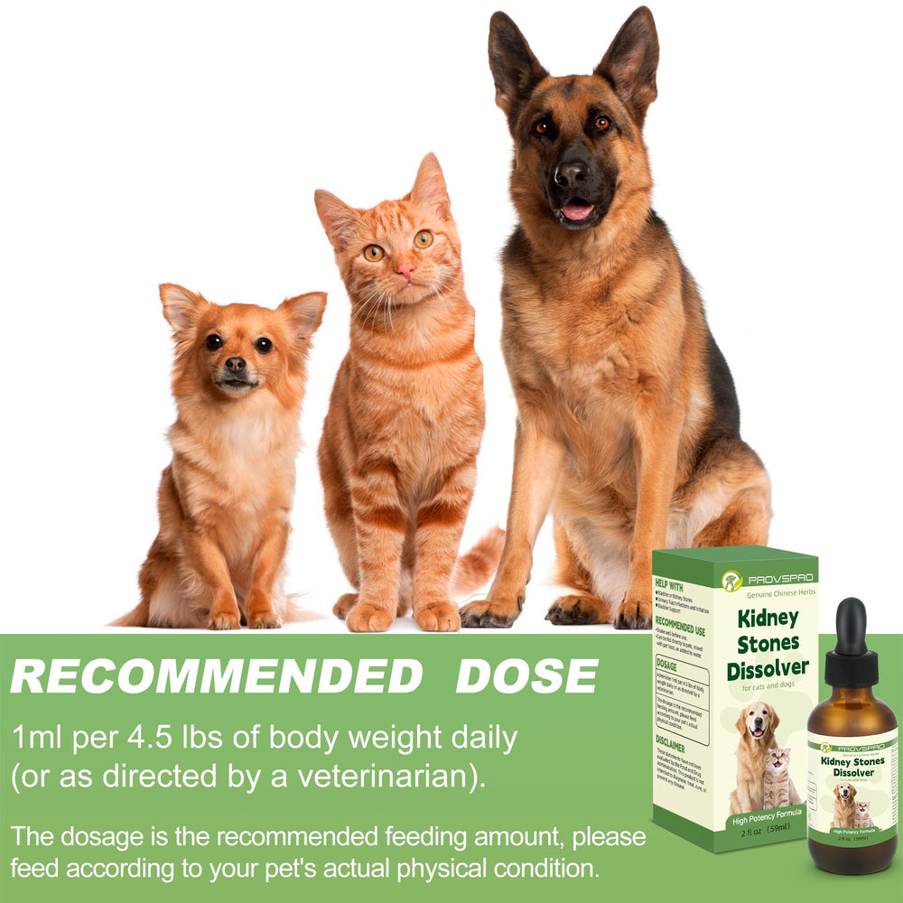 Ourea recomendación profesional para perros y gatos con piedras urinarias