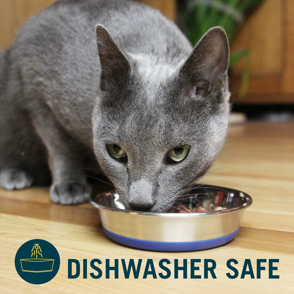 Our Pets DuraPet con capacidad de hasta 1 taza para comida húmeda o seca.