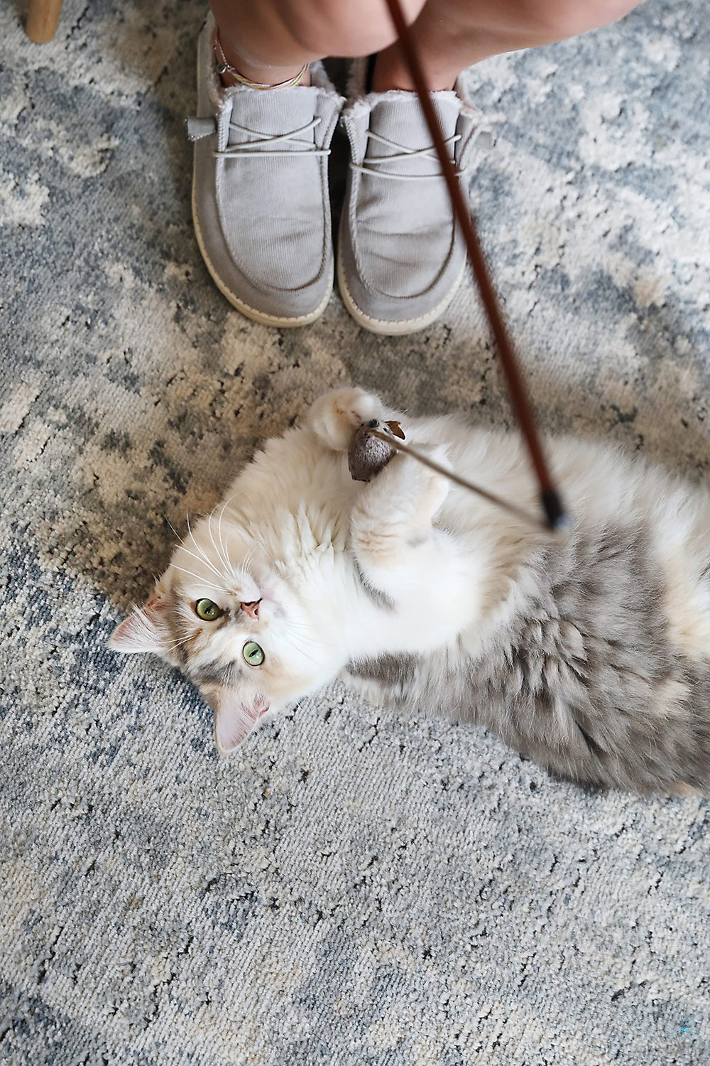 OurPets Varita teaser para gatos de interior y entrenamiento.