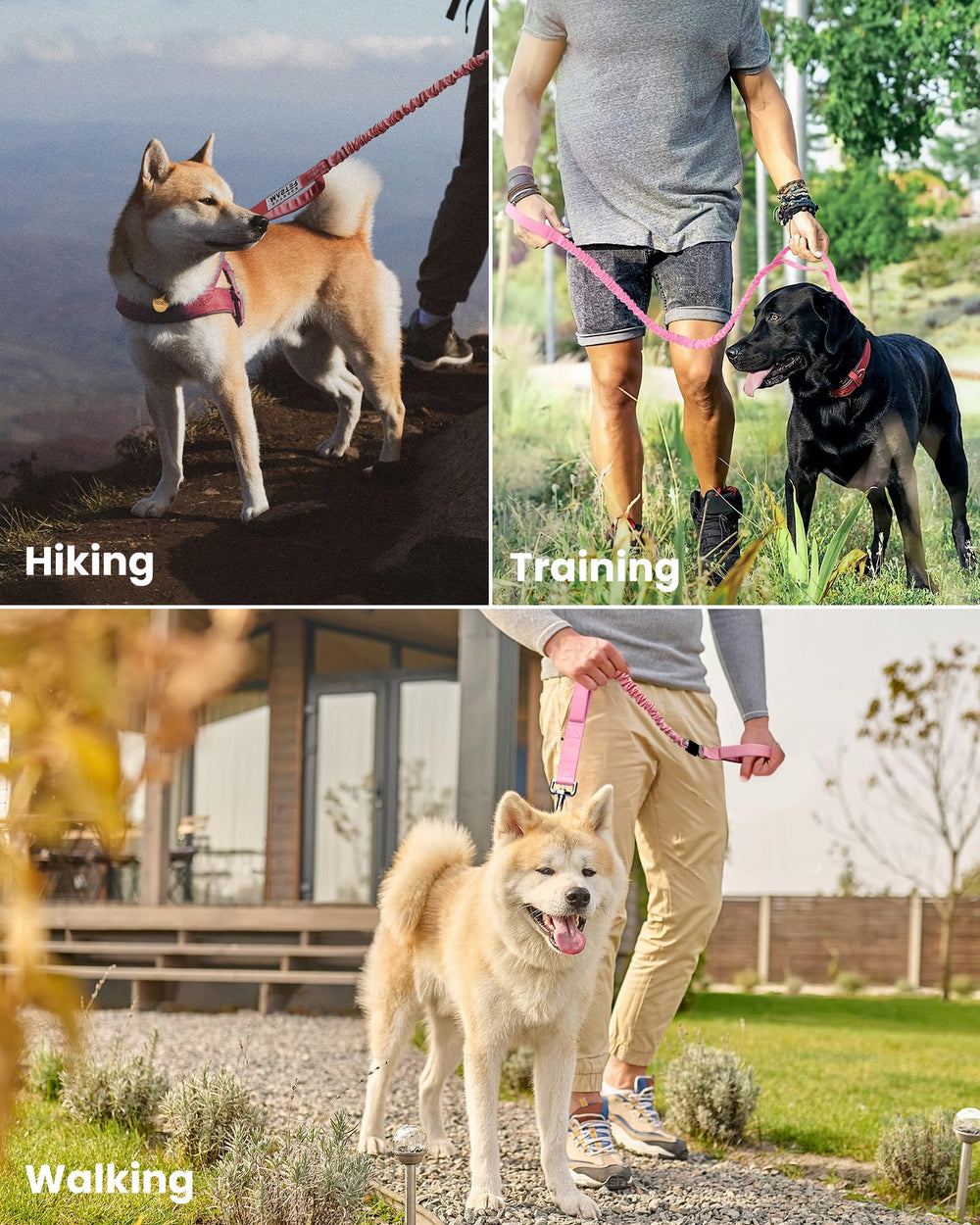 OutdoorMaster correa versatil para paseos y entrenamiento al aire libre.