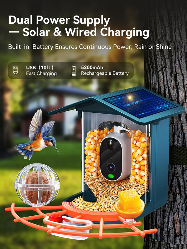 Outinput carcasa IP65 resistente a lluvia para uso exterior.