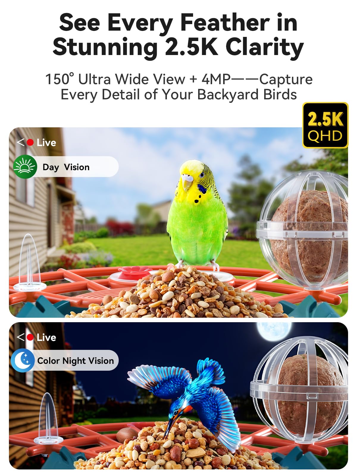 Outinput expulsión de ardillas para mantener la comida de aves estable.