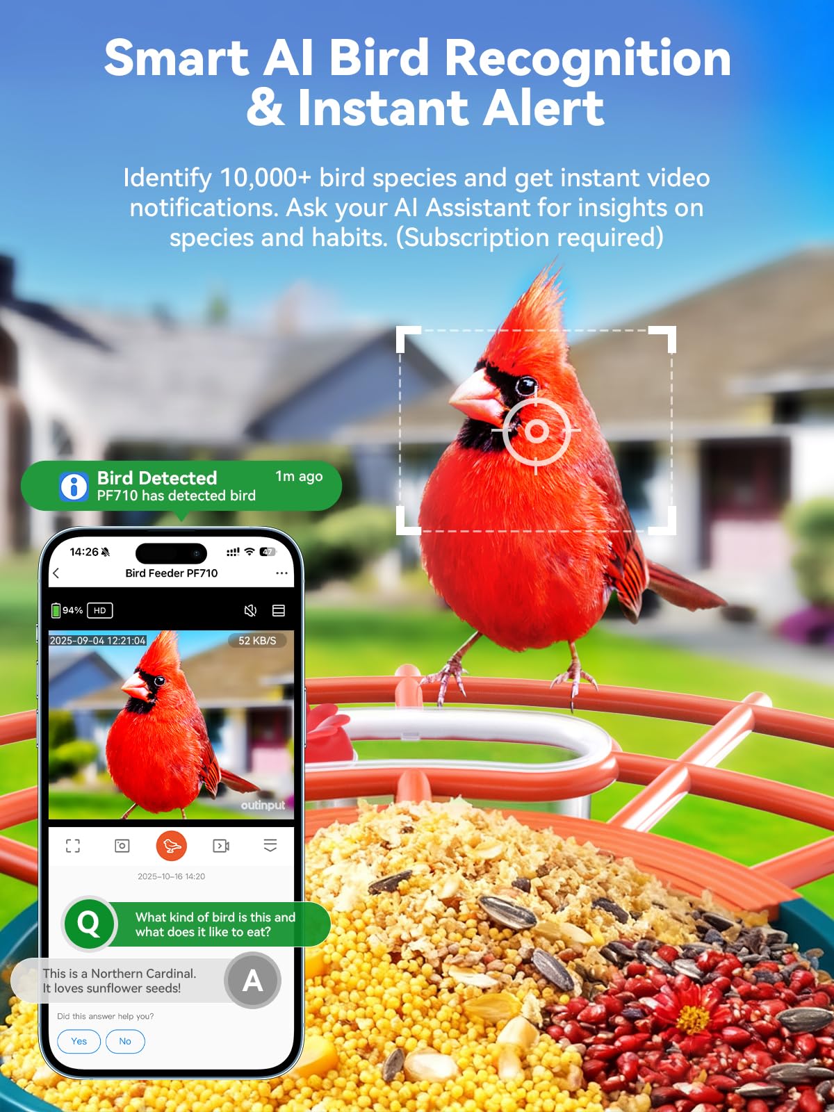 Outinput identificación IA de aves para ampliar tu colección de observación.