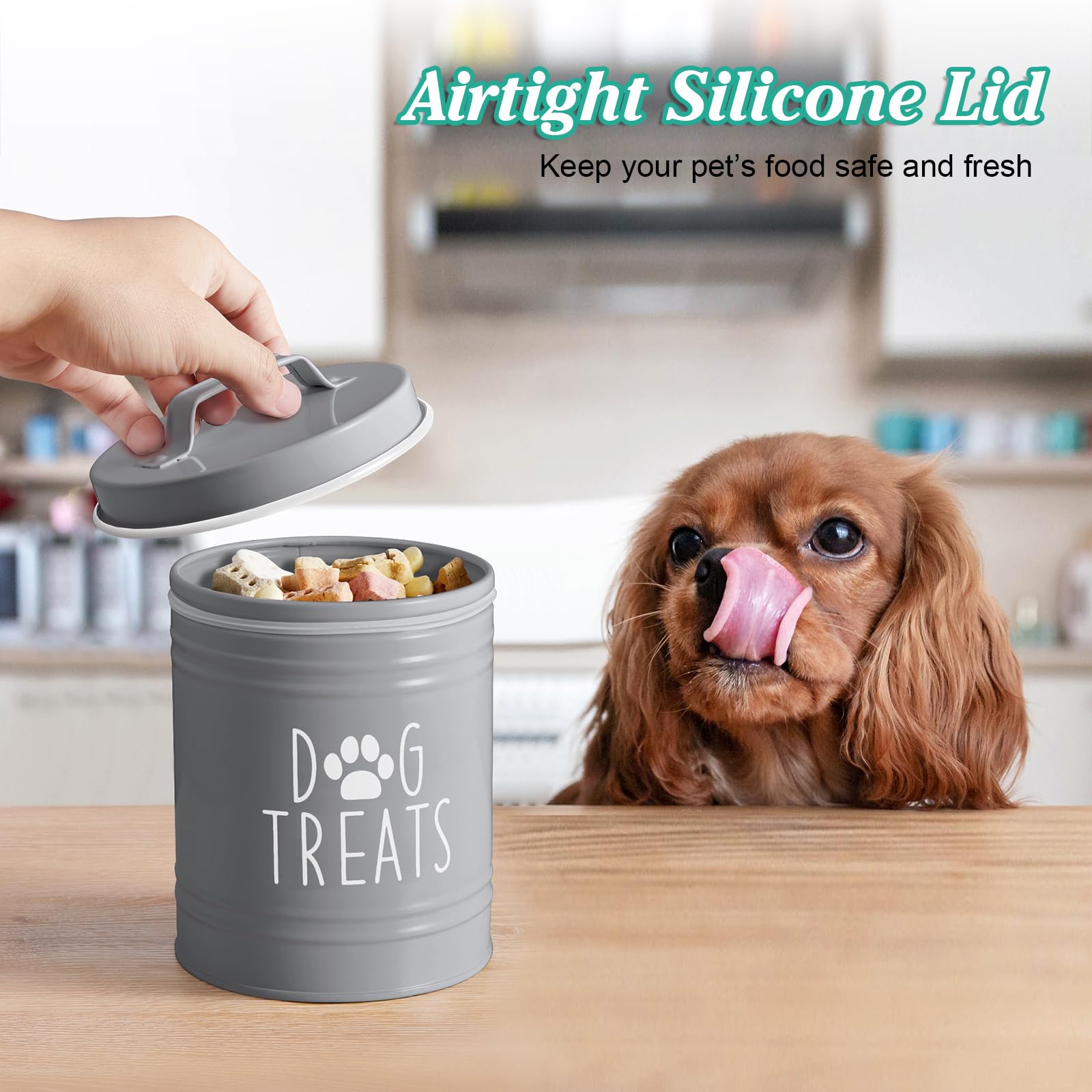 OUTNILI contenedor compacto para premios, ordena snacks y simplifica la cocina.