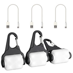 Outopest: luces de collar para perro en noche mostrando mayor visibilidad para paseos nocturnos