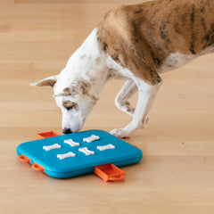 Outward Hound Dog Casino cajones-busqueda premia olfato y persistencia del perro.