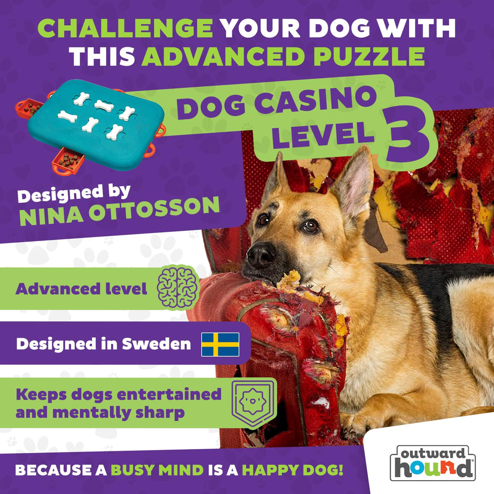 Outward Hound Dog Casino ajuste-dificultad adapta el reto al nivel del perro.