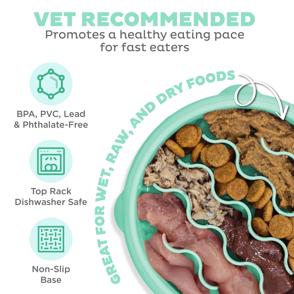 Outward Hound Fun Feeder Slo Bowl antideslizante, evita derrames durante la comida