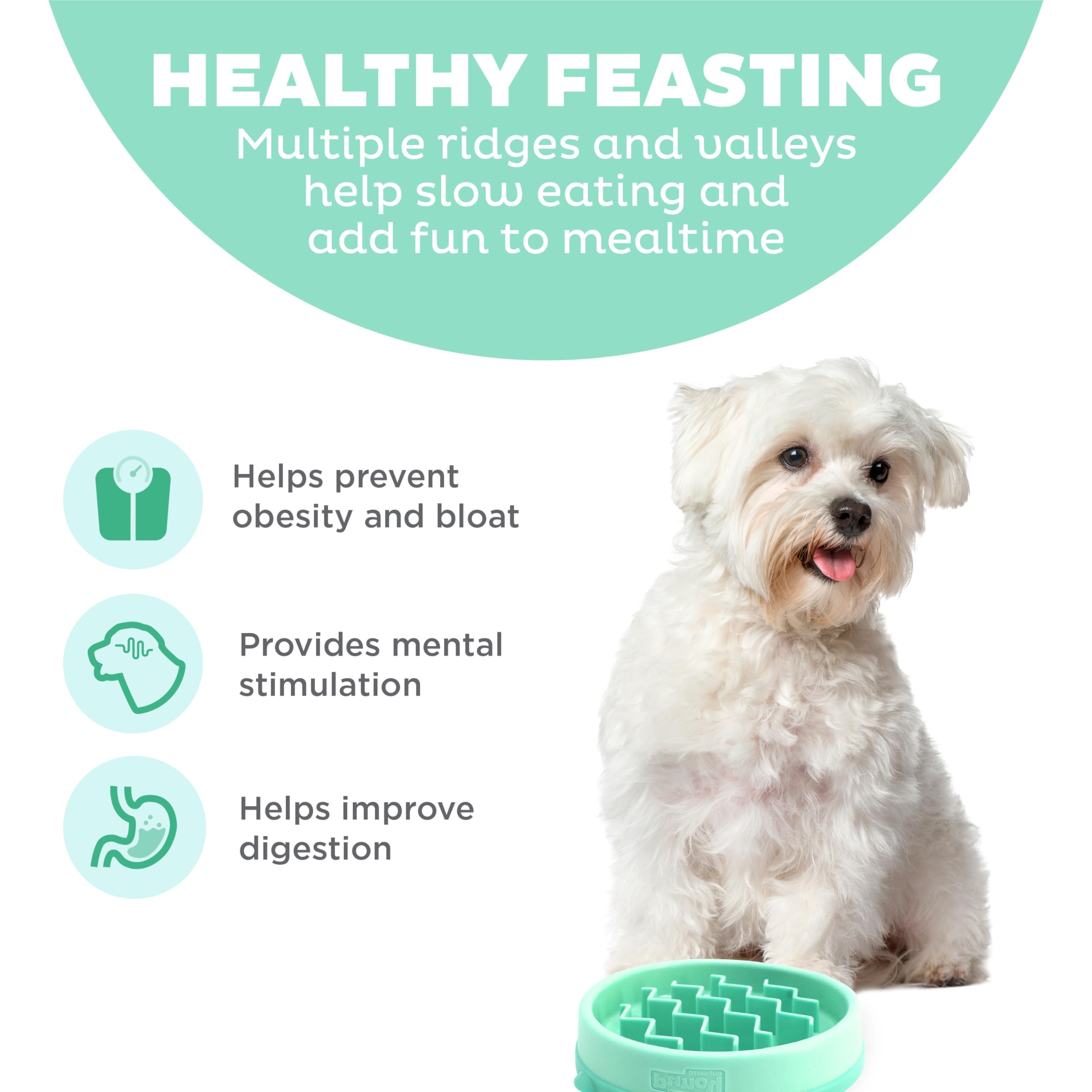 Outward Hound Fun Feeder Slo Bowl capacidad 3/4 tazas, ideal para razas pequeñas